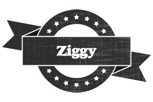 Ziggy grunge logo