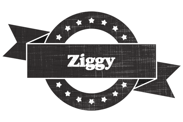 Ziggy grunge logo