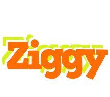 Ziggy healthy logo