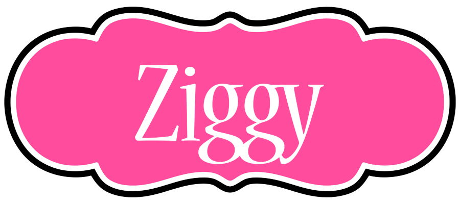 Ziggy invitation logo