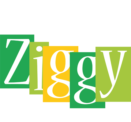 Ziggy lemonade logo