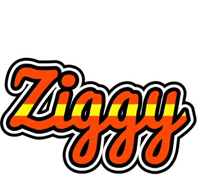 Ziggy madrid logo