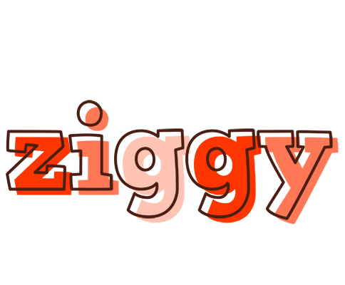 Ziggy paint logo
