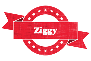 Ziggy passion logo