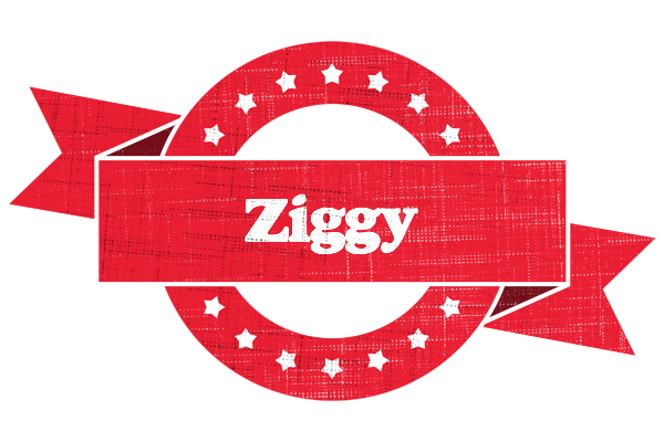 Ziggy passion logo