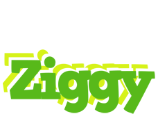 Ziggy picnic logo