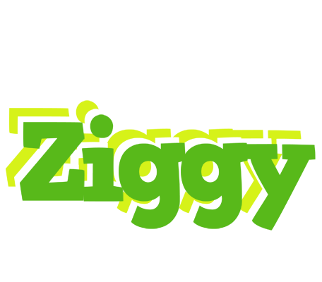 Ziggy picnic logo