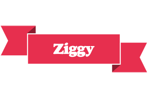 Ziggy sale logo