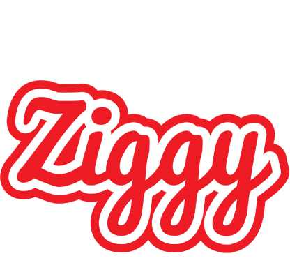 Ziggy sunshine logo