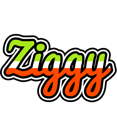 Ziggy superfun logo