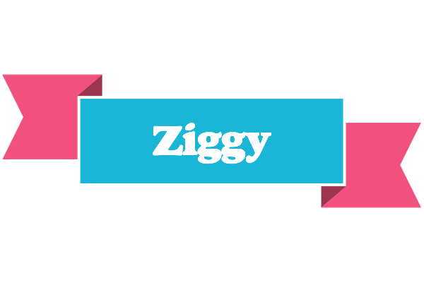 Ziggy today logo