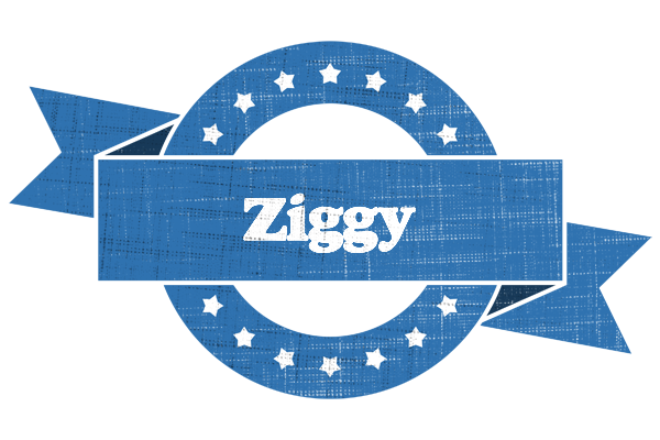 Ziggy trust logo