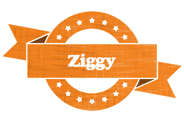 Ziggy victory logo