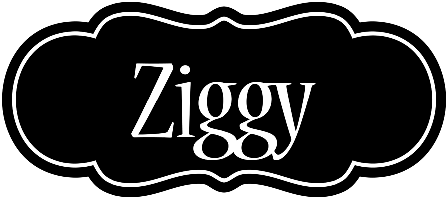Ziggy welcome logo