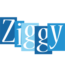 Ziggy winter logo