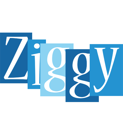 Ziggy winter logo