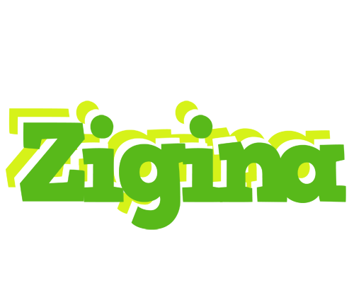 Zigina picnic logo