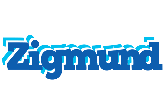 Zigmund business logo