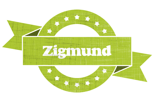 Zigmund change logo