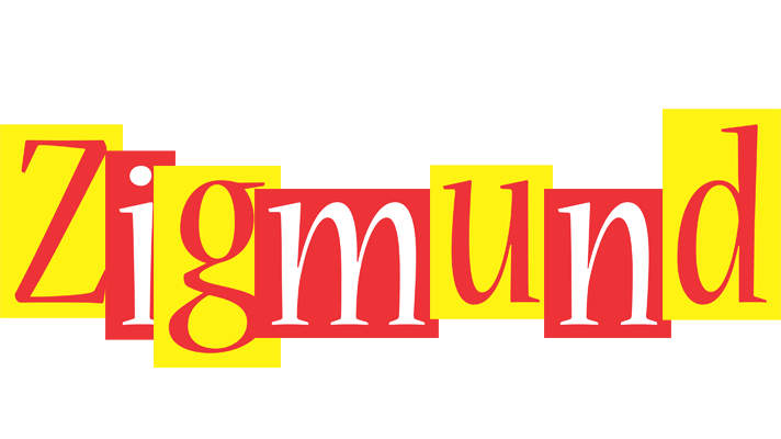 Zigmund errors logo