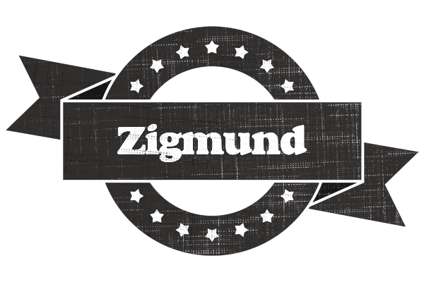 Zigmund grunge logo