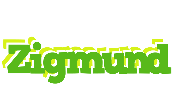 Zigmund picnic logo