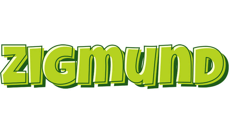 Zigmund summer logo