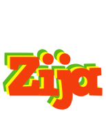 Zija bbq logo