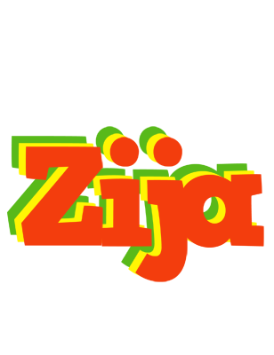 Zija bbq logo