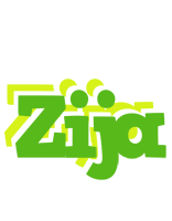 Zija picnic logo