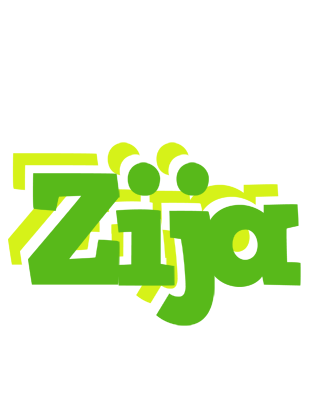 Zija picnic logo
