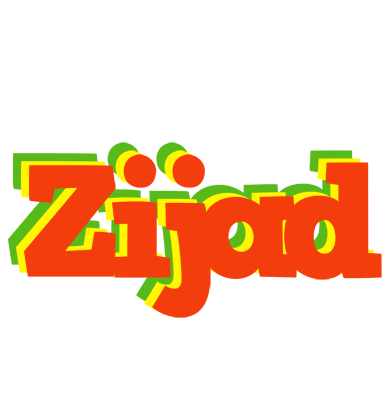Zijad bbq logo