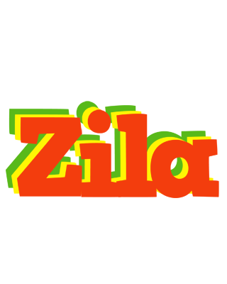 Zila bbq logo