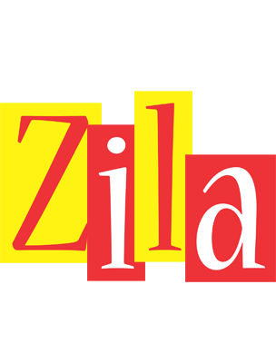 Zila errors logo