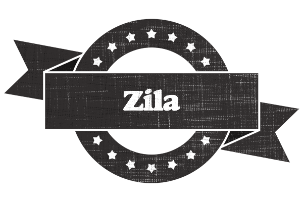 Zila grunge logo