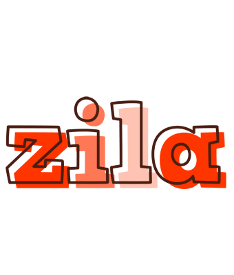 Zila paint logo
