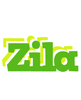 Zila picnic logo