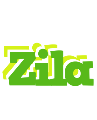 Zila picnic logo