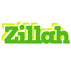 Zillah picnic logo