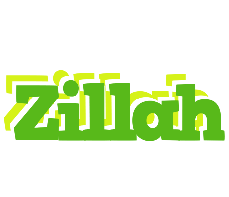 Zillah picnic logo
