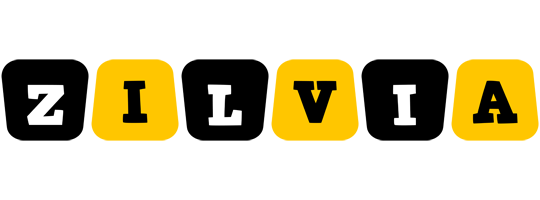 Zilvia boots logo