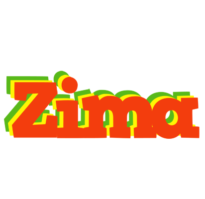 Zima bbq logo