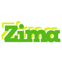 Zima picnic logo