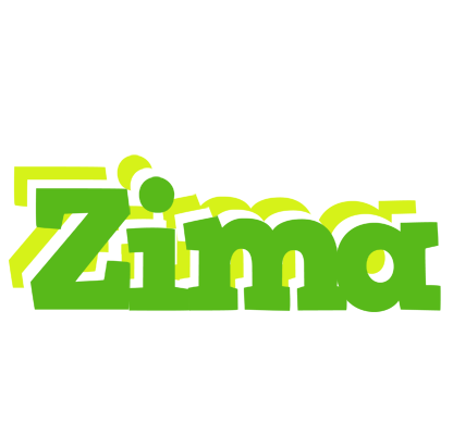 Zima picnic logo