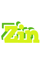 Zin citrus logo