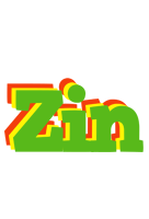 Zin crocodile logo