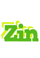 Zin picnic logo