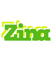 Zina picnic logo