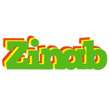 Zinab crocodile logo