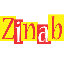 Zinab errors logo